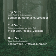 Men's Lumi Spa Kit - ageLOC LumiSpa I/O - Nu Skin Men's Black Special Edition