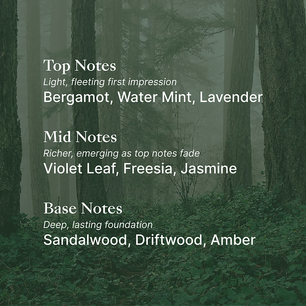 Men's Lumi Spa Kit - ageLOC LumiSpa I/O - Nu Skin Men's Black Special Edition