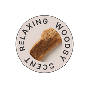 Men's Lumi Spa Kit - ageLOC LumiSpa I/O - Nu Skin Men's Black Special Edition